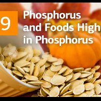 Phosphorus and Foods High in Phosphorus