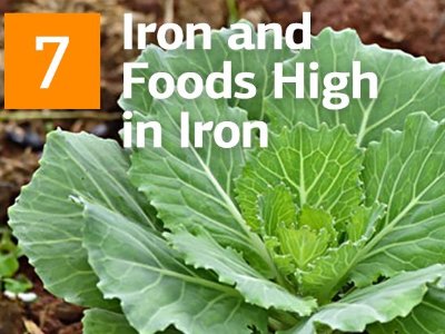 Iron and Foods High in Iron