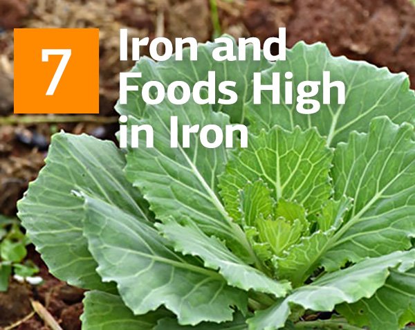 Iron and Foods High in Iron