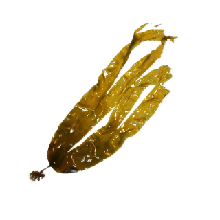 Laminaria Sodium info