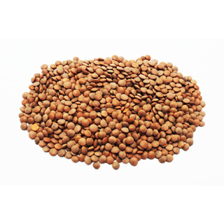 Boiled Lentils Protein info
