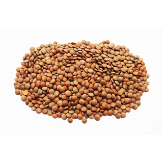 Lentils Protein info