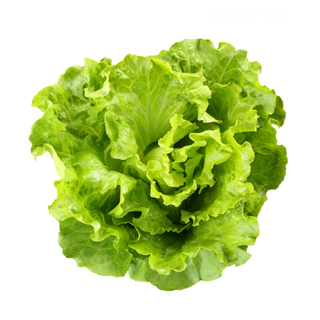 Lettuce Vitamin K info