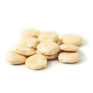 Boiled Lupini Beans Protein info