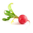 radish