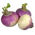 turnip