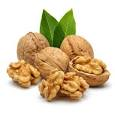 walnut