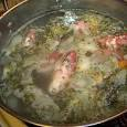 fish stock