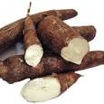 cassava