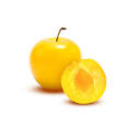 mirabelle plum