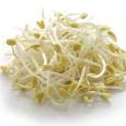 bean sprouts