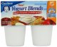 yogurt blends snack apple cinnamon with whole grains