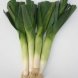 leeks, (bulb and lower leaf-portion)