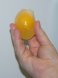 egg substitute, liquid or frozen, fat free