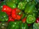 peppers, sweet, red, sauteed