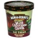 mint chocolate chunk original ice cream cones and sundaes/original ice cream