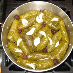 Grape Leaves Aleppo