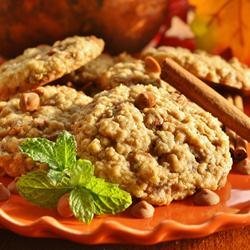 Devouring Oatmeal Chocolate Chip Cookies