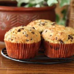 Chocolate Chip Muffins