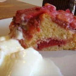 Easy Rhubarb Cake