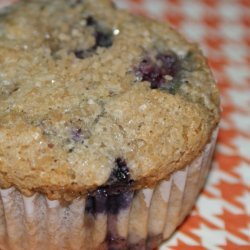 Low Fat Blueberry Muffins