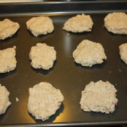 Whole Wheat Biscuits