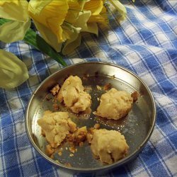 Easy Bake Oven peanut butter cookies