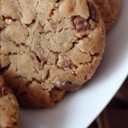 Chocochip Peanut Butter Cookies Made With Oil (Not Marg)