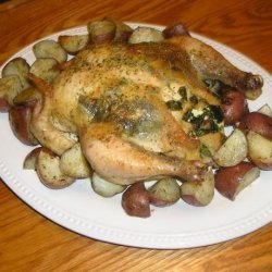 Greek Style Roasted Chicken