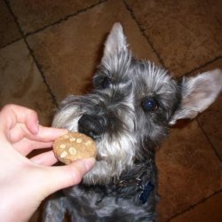   Luck'a'doodles  Dog Treats