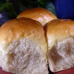 No-Knead Dinner Rolls