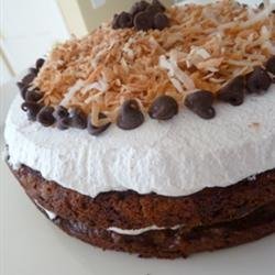 Quick Chocolate Chip Cake