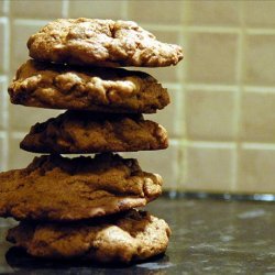 Double Chocolate Chunk Cookies