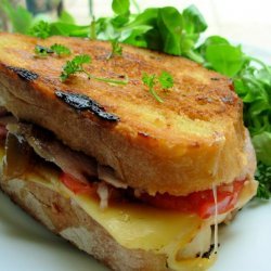 A Grilled Roasted Turkey & Provolone Sandwich