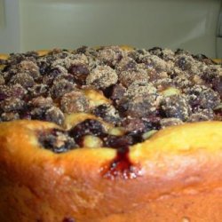 Blueberry Streusel Cake