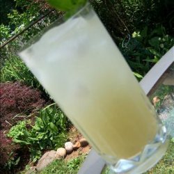 Ginger Limeade