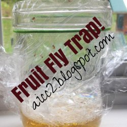 Simple Fruit Fly Trap