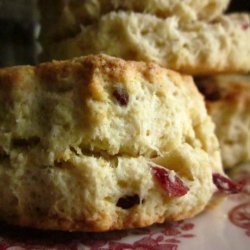 Classic Tea Time Cream Scones