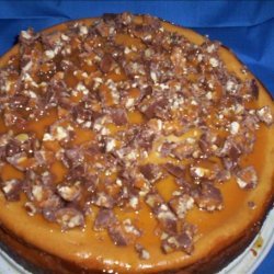 Butterscotch Cheesecake