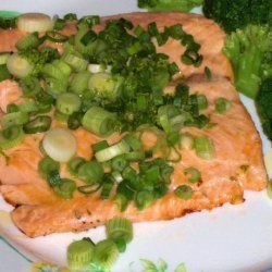 Lime Salmon Fillets