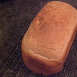 Whole Wheat Beer & Honey Bread Machine Rolls