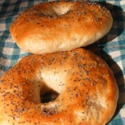 Basic Bagels