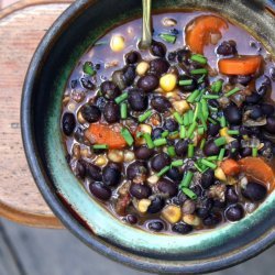 Black Bean Vegetable Soup