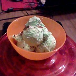 Homemade Mint Chocolate Chip Ice Cream