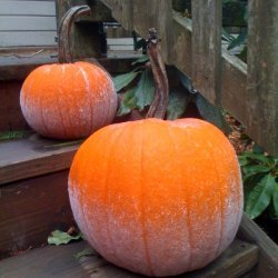 Frost on the Pumpkin