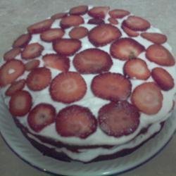 Chocolate Strawberry Shortcake