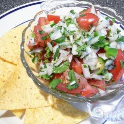  elmer's  Summertime Sweet Onion Salsa