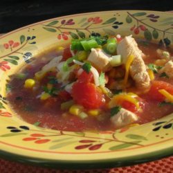 Mexican Chicken Soup