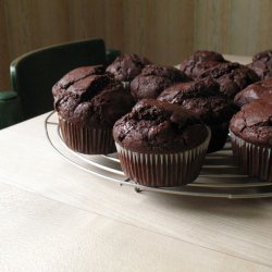 Chocolate Muffins