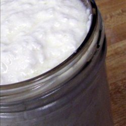 Homemade Yogurt